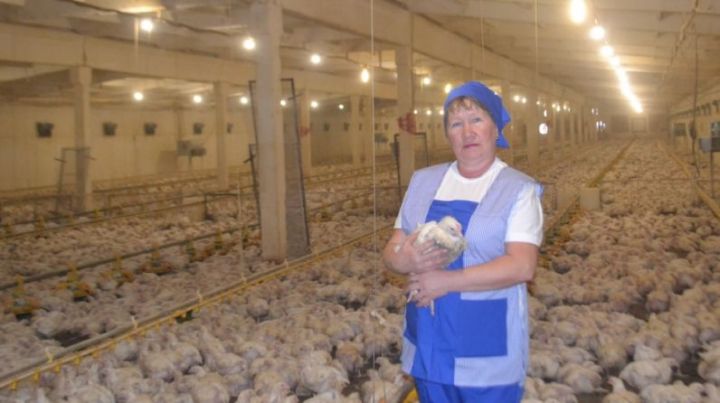 Работница зеленодольской птицефабрики удостоилась звания «Заслуженный работник сельского хозяйства РТ»