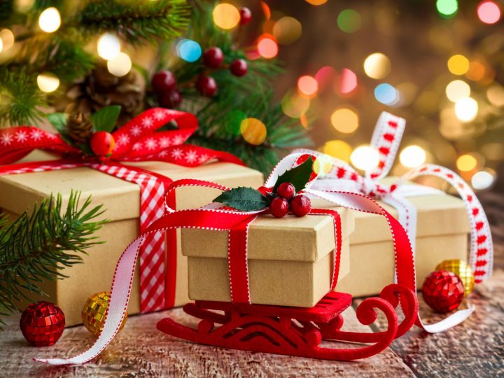Новогоднее представление «Фабрика подарков Деда Мороза» для детей с ограниченными возможностями пройдет в Зеленодольске