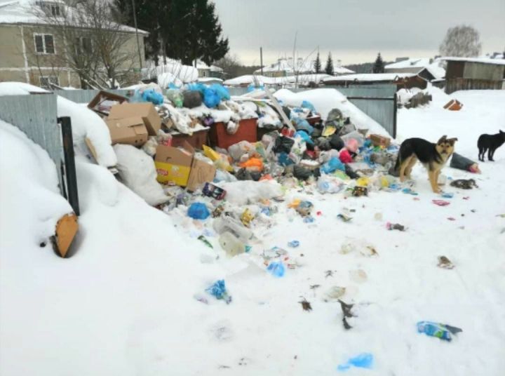 Гора мусора скопилась в селе Бело-Безводное Зеленодольского района