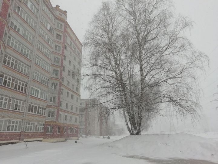 Профессор КФУ рассказал, когда в Зеленодольске прекратится снегопад