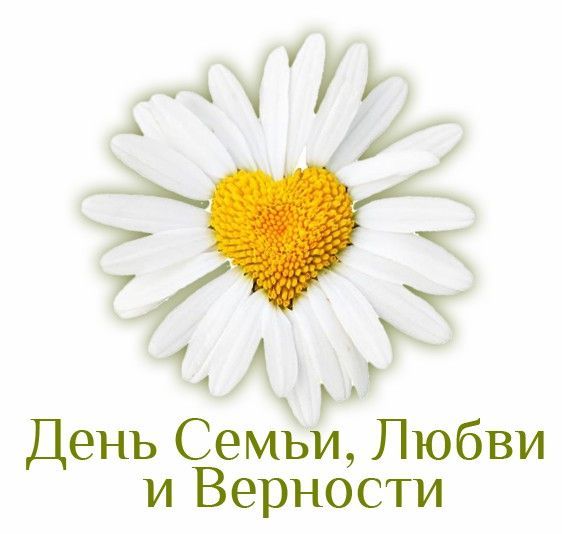 В&nbsp;Зеленодольске отметят «День семьи, любви и&nbsp;верности-2019»