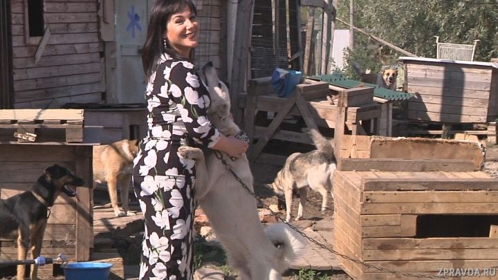 Депутаты Госсовета РТ накануне Дня бездомных животных посетили приют «Кот и пес»