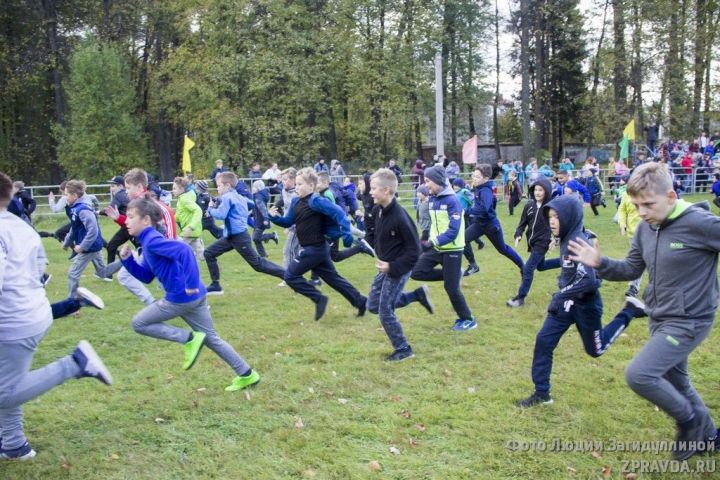 Во всероссийской акции "Кросс Нации" приняли участие сотни зеленодольцев