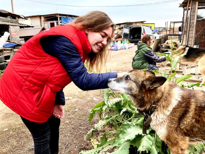 «Молодежка ОНФ» в Татарстане привезла 300 кг корма приюту «Кот и Пес»