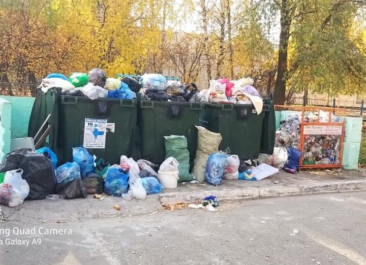 Мобильный репортер: Почему не убирают мусор?