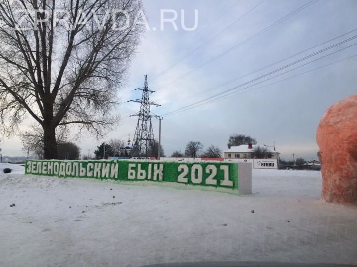 Зеленодольские художники Валерий Макаров и Сергей Царев  создали снежную надпись «Зеленодольский бык 2021»