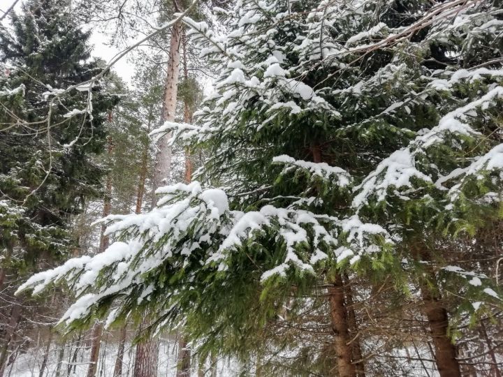 В Гидрометцентре рассказали, когда завершится теплая погода в России