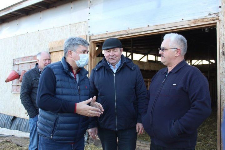 Михаил Афанасьев посетил фермерские хозяйства Айшинского сельского поселения