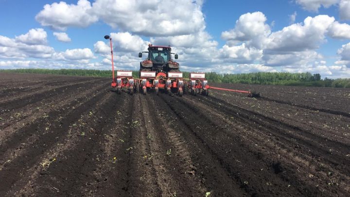Фото: В хозяйствах Зеленодольского района продолжаются весенне - полевые работы
