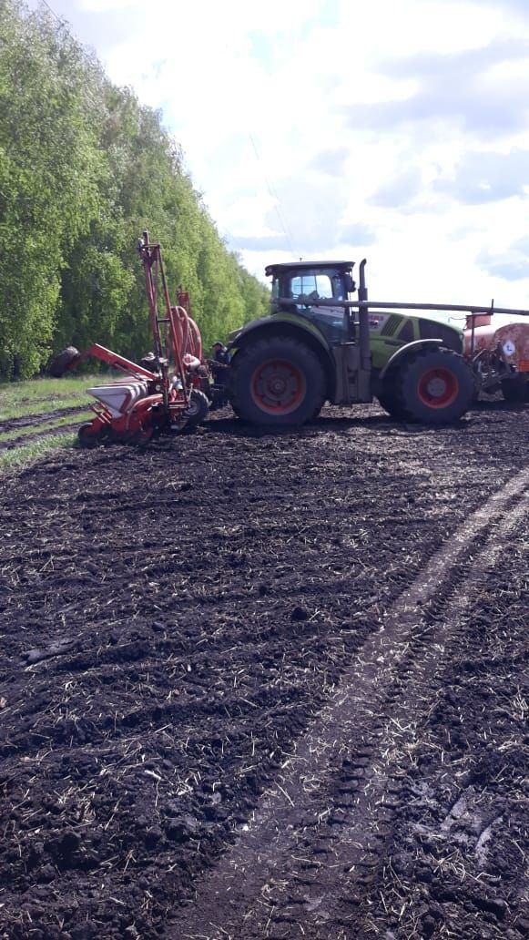 Фото: В хозяйствах Зеленодольского района продолжаются весенне - полевые работы