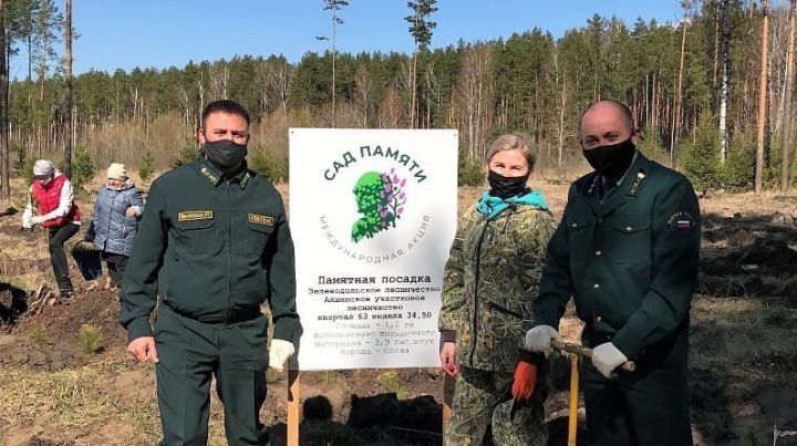 Зеленодольцы присоединились к Международной акции «Сад памяти»