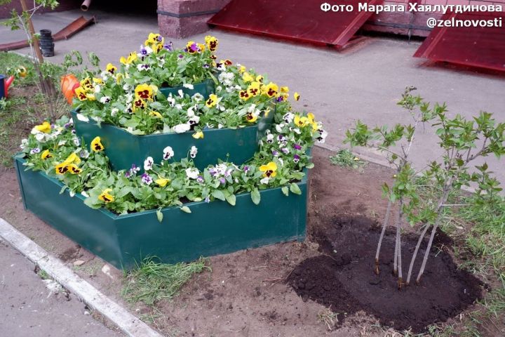 В Зеленодольске под окнами блокадницы Ленинграда высадили цветы и кусты сирени