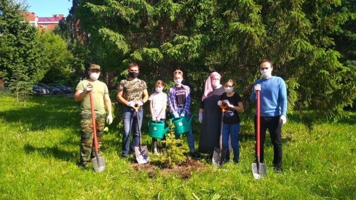 Природоохранной прокуратурой совместно с учащимися  организована посадка деревьев