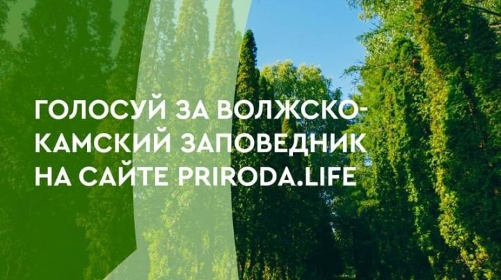 Поддержите Татарстан во Всероссийском конкурсе на создание туристско-рекреационных кластеров и развитие экотуризма в России