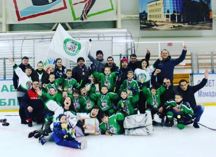 Зеленодольские юные спортсмены стали победителями турнира по хоккею