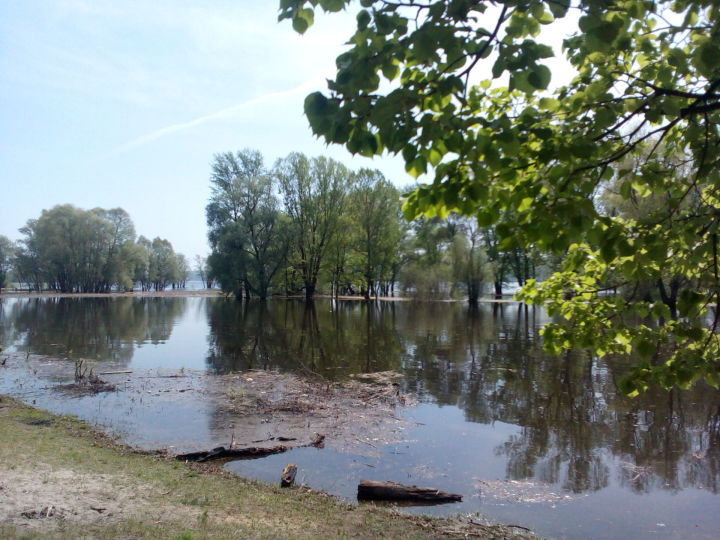 На Волге стоит высокий уровень воды