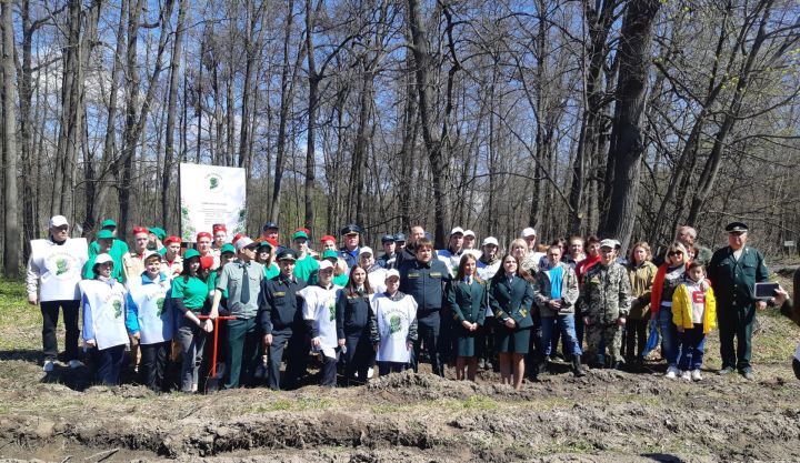 В Зеленодольске высадили "Сад Памяти", посвящённый Победе