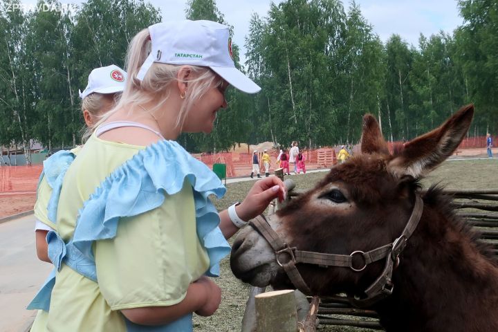 Фото: Сабантуй-2021 в лицах и красках