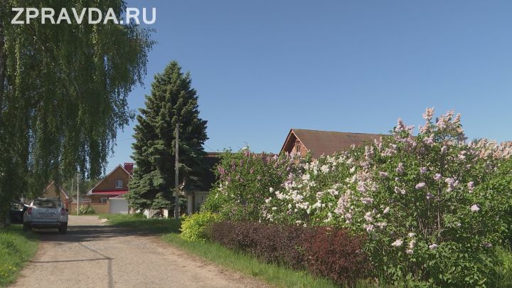 Нужны энтузиасты по созданию сиреневого сквера