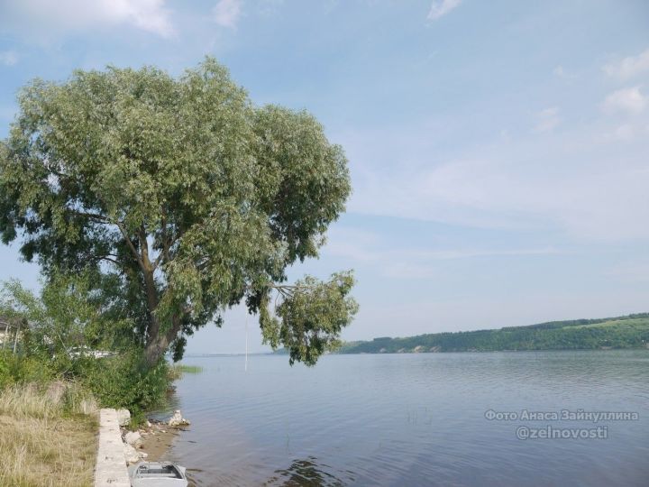 Волга пошла вверх: Как сказывается высокий уровень воды на экологии реки