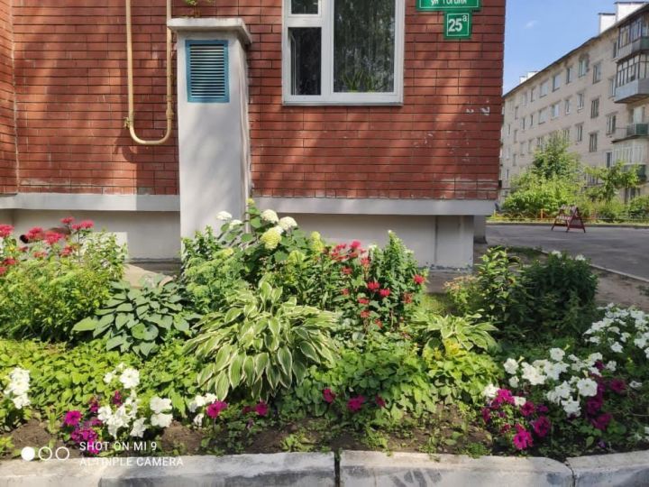 Невозможно не обратить внимание на удивительно красивый цветник возле дома №25а по улице Гоголя