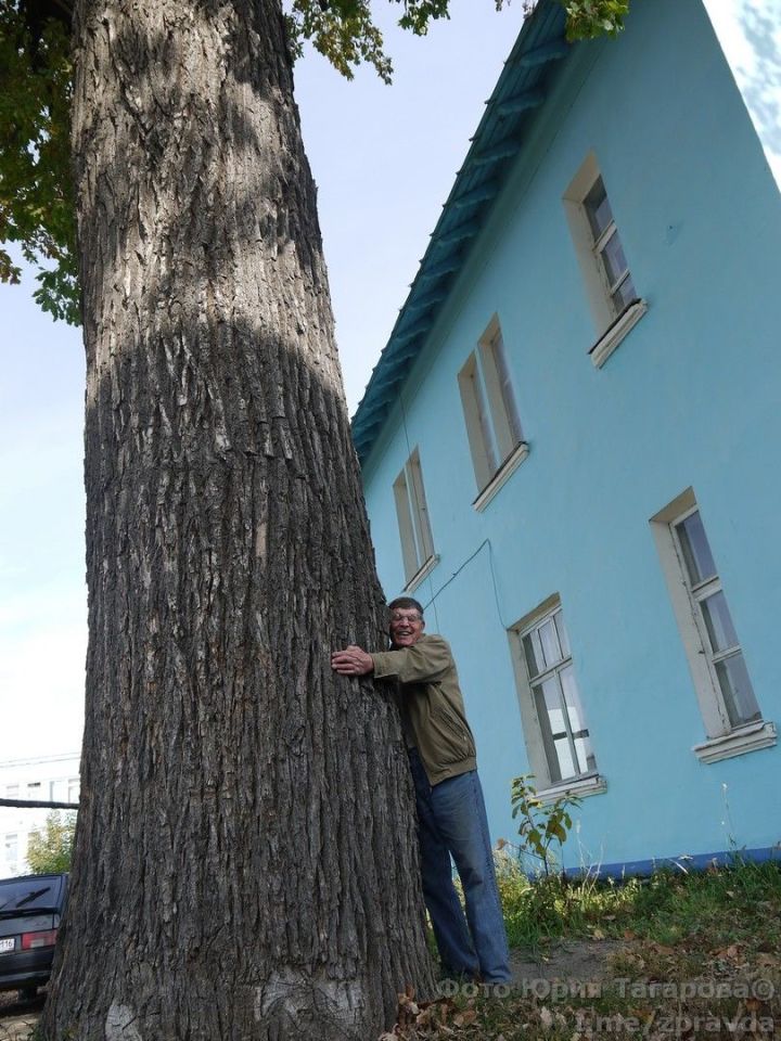 Дуб Луканина, растущий в Зеленодольске на ул.Заводской, официально внесён в Национальный реестр
