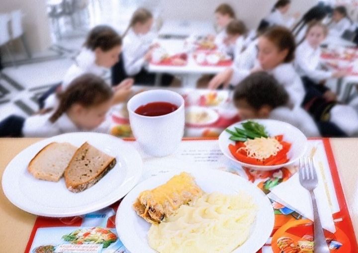 Как организовано школьное питание в сельских и городских школах в Зеленодольском районе