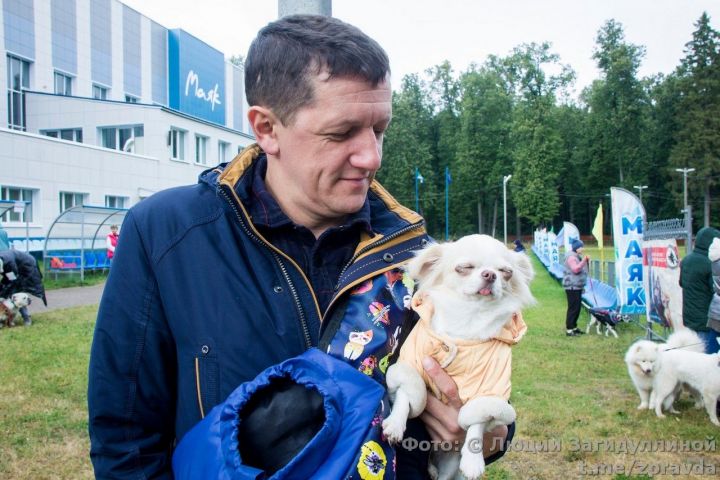 Спорткомплекс «Маяк». Фоторепортаж с выставки собак