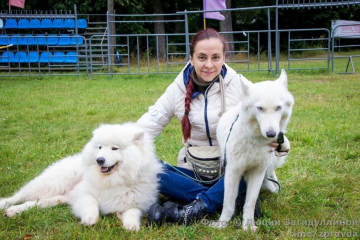 Спорткомплекс «Маяк». Фоторепортаж с выставки собак