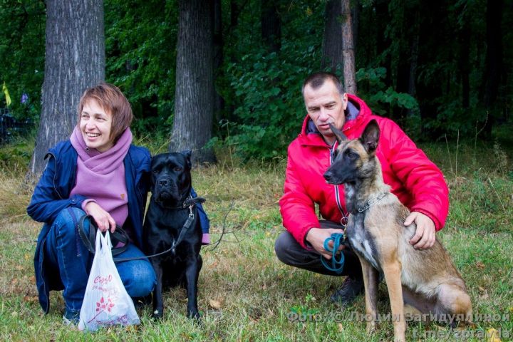 Спорткомплекс «Маяк». Фоторепортаж с выставки собак