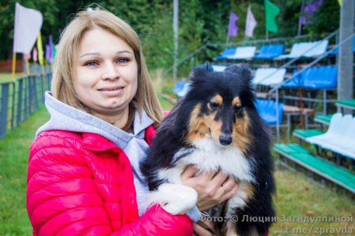 Спорткомплекс «Маяк». Фоторепортаж с выставки собак