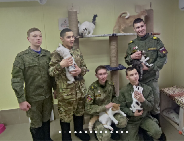 В приют «Кот и пес» благотворители привезли новые будки для собак