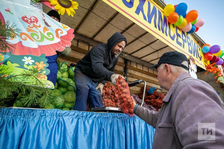 Весенние ярмарки в Татарстане откроются 18 марта