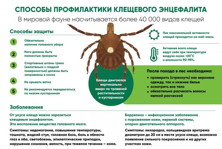 В Татарстане запустили горячую линию по вопросам профилактики клещевых инфекций