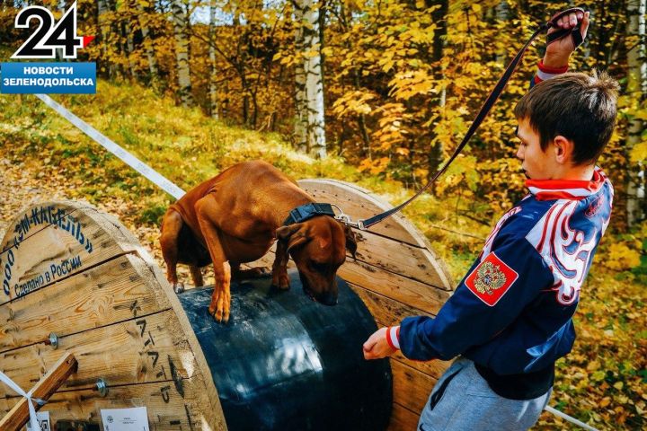 Уникальный командный забег провели в честь 20-летия Зеленодольского клуба служебного собаководства