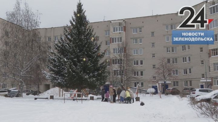 В Зеленодольском дворе соседи вырастили елку и дружно наряжают ее уже более 30 лет