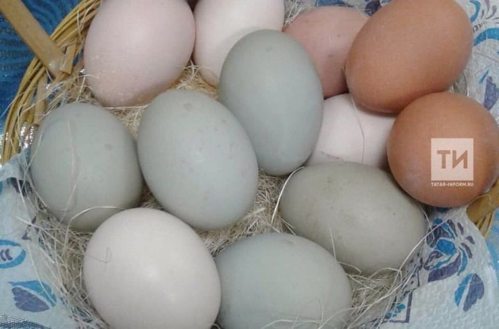 На ярмарках в Татарстане продано более миллиона яиц