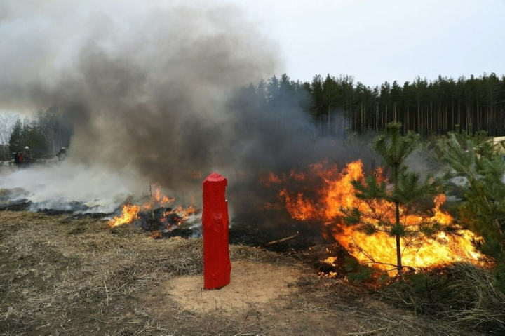 В связи с повышенным риском возгорания лесных массивов, на территории Татарстана объявлено экстренное предупреждение