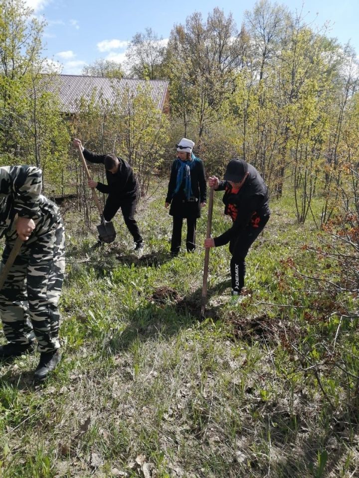 В Зеленодольске прошла международная акция «Сад памяти»