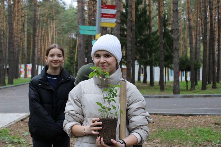 «Севастопольский салют»: молодежь Татарстана присоединилась к Всероссийской акции «Сирень победы»