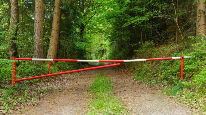 В Татарстане введено временное ограничение на посещение лесов