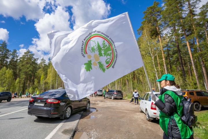В экологической акции «Чистые леса Татарстана» участвует около 10 тыс. человек