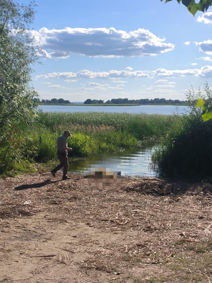 В Васильево утонула 59-летняя жительница Казани