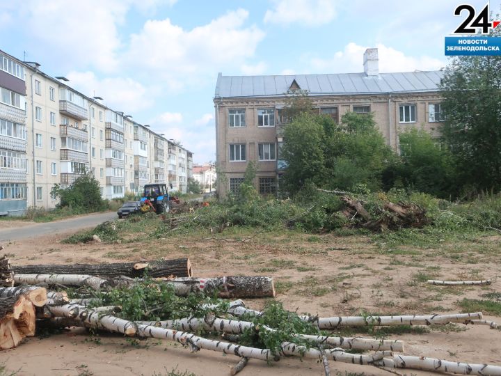 Что построят в Зеленодольске на ул. Декабристов на месте спиленных деревьев