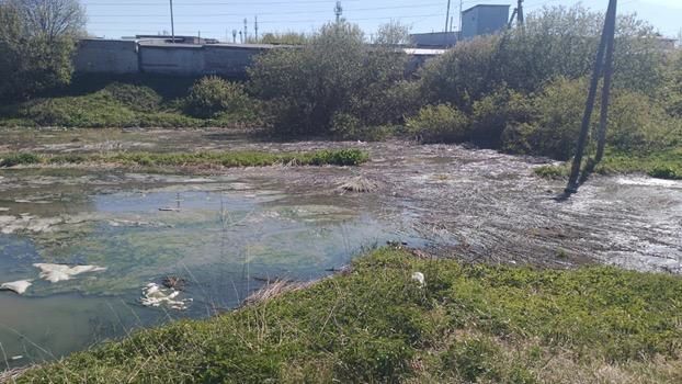 На Исполком Зеленодольского района подали в суд из-за сброса сточных вод в с. Осиново