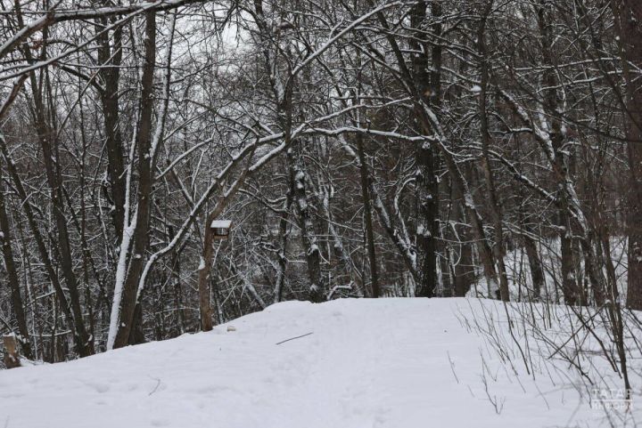 В Казани установлен новый температурный рекорд за 105 лет