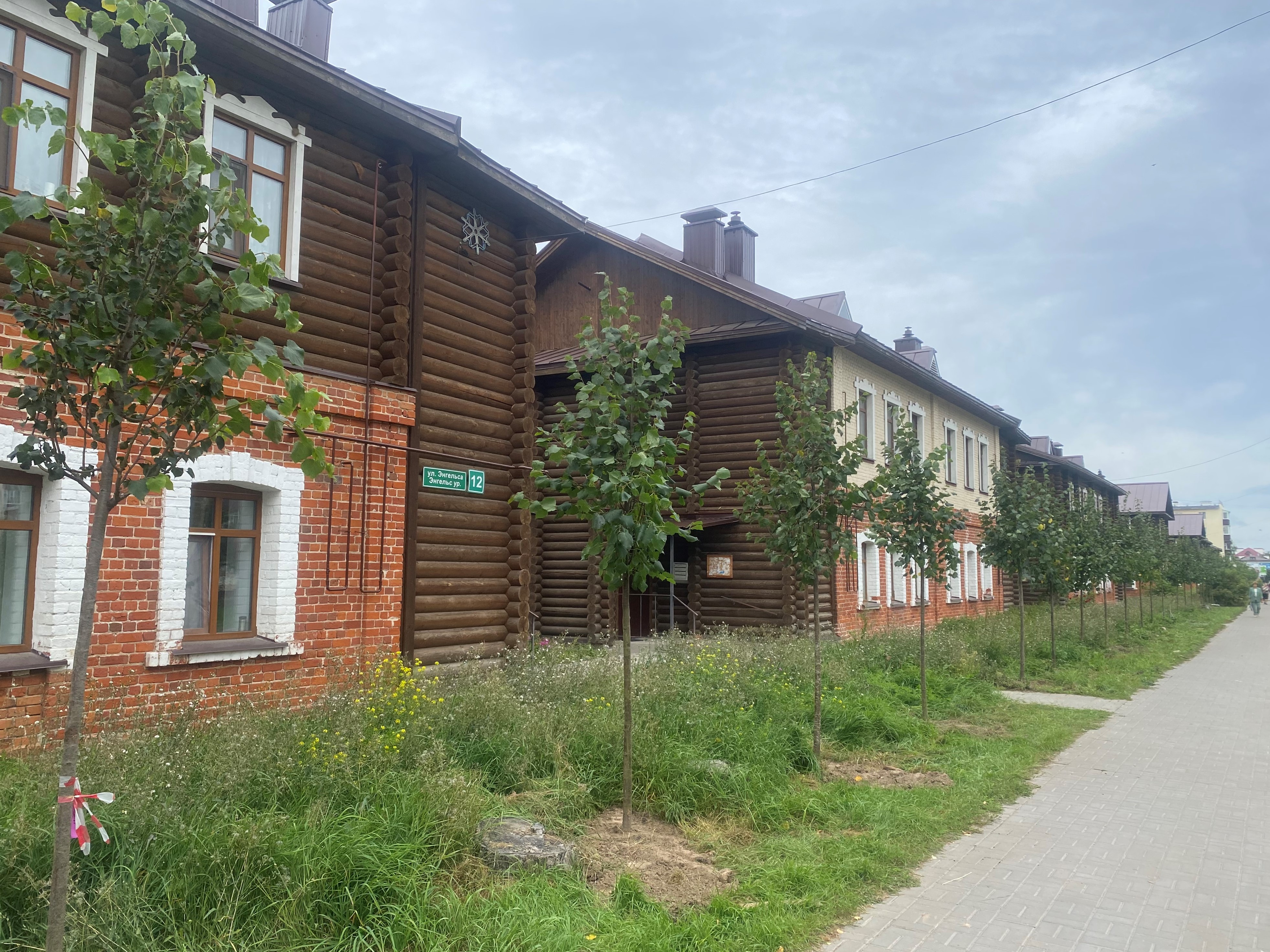 Пока на огородных грядках цветёт душица,  но не исключено, что здесь посадят и лук!