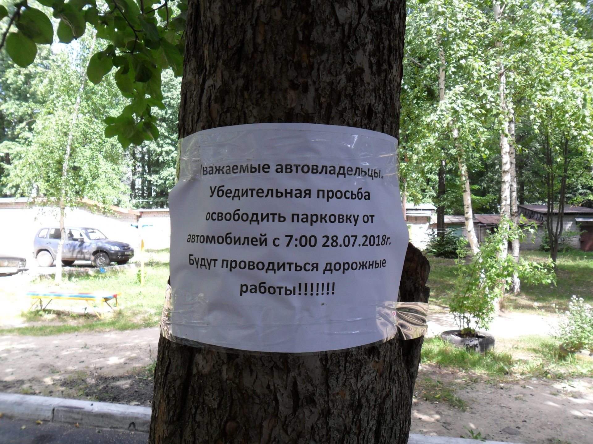 Жителям дома №62 по ул.Ленина удалось спасти яблоню, которой почти 50 лет!