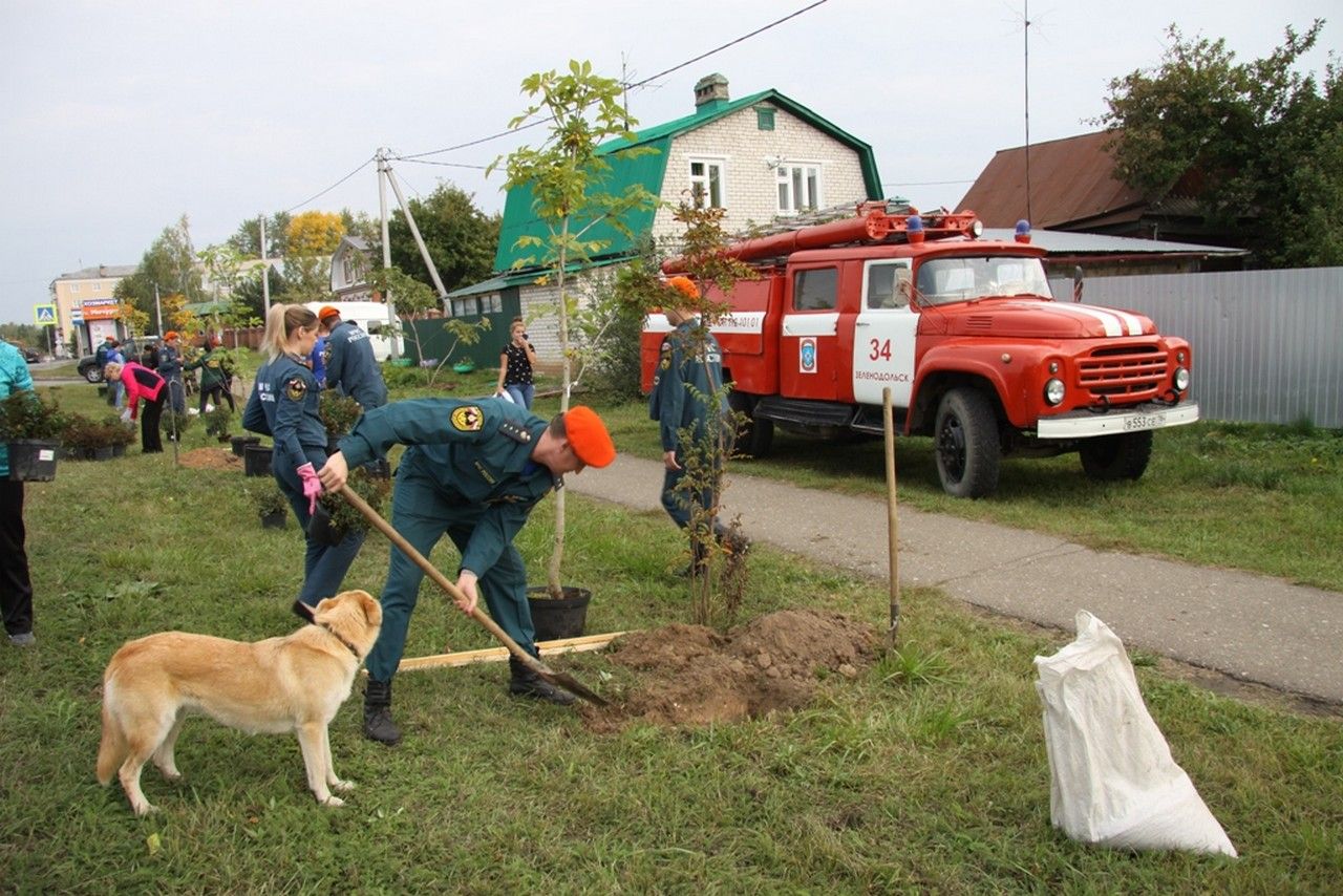 Фото: Своя аллея появилась у зеленодольских пожарных