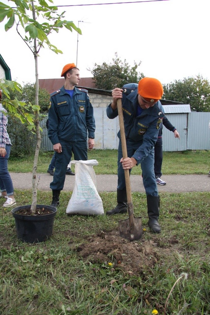 Фото: Своя аллея появилась у зеленодольских пожарных